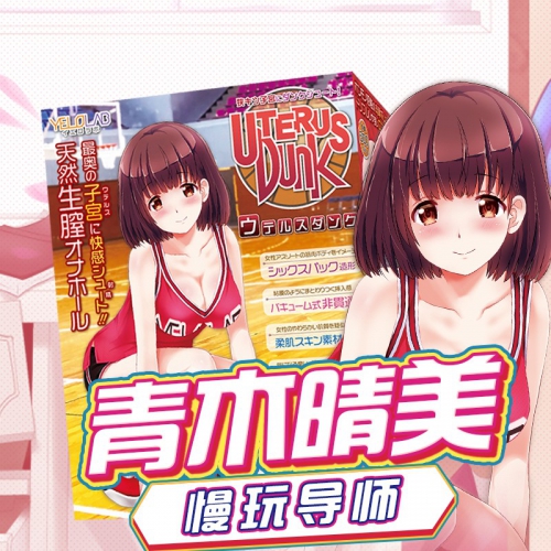 日本YELOLAB青木晴美动漫名器男用自慰器情趣玩具成人用品