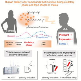 费洛蒙迷人爱情香水国内官方网站
